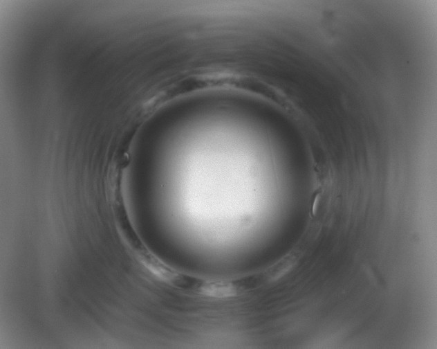 X0000082990767200702011429