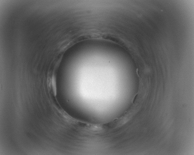 X0000082990768200702011429