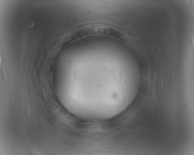 X0000082990769200702011428