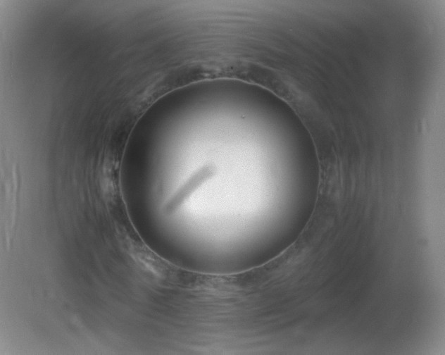 X0000082990770200702011428