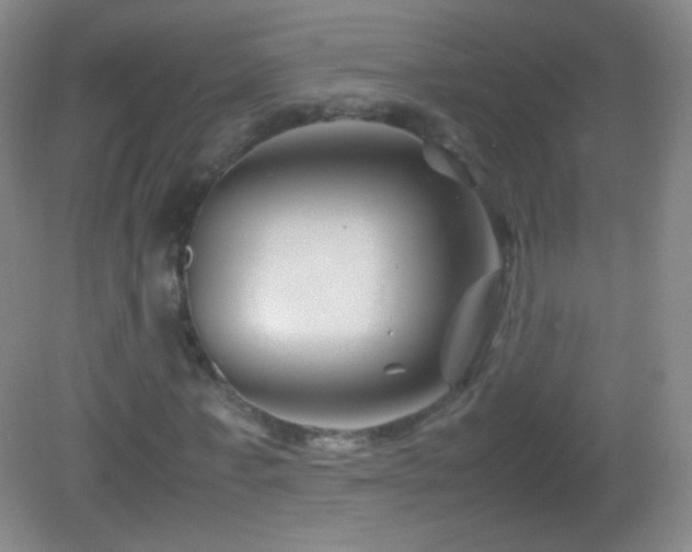 X0000082990771200702011428