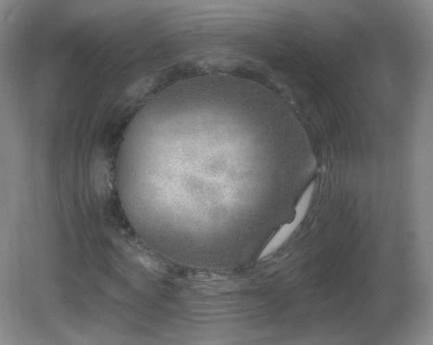 X0000082990772200702011428