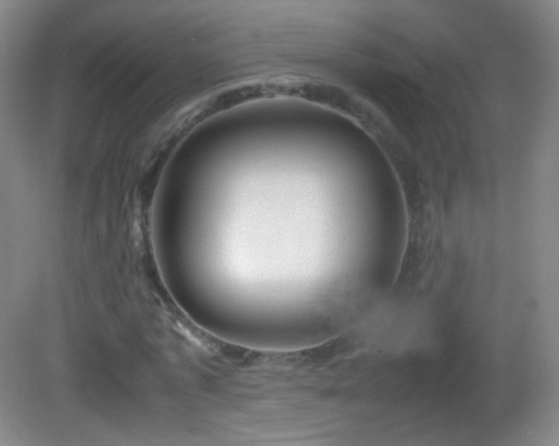 X0000082990773200702011428