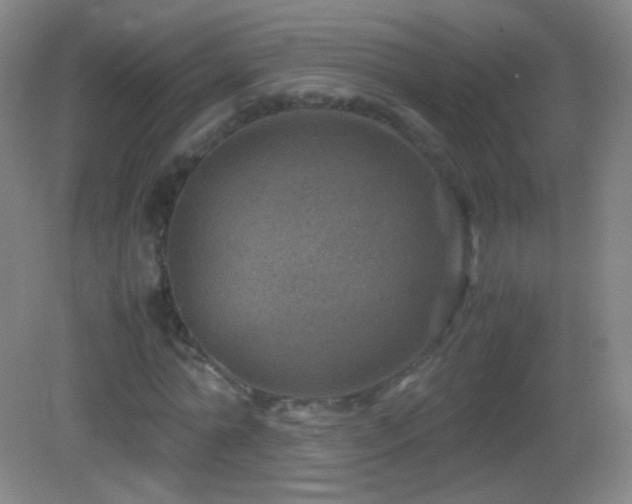 X0000082990774200702011428