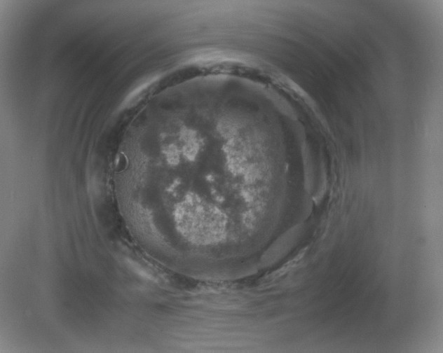 X0000082990775200702011428