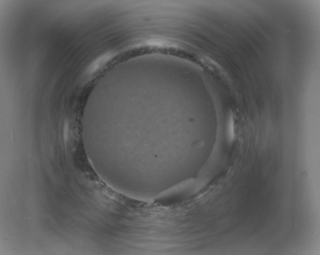 X0000082990776200702011428