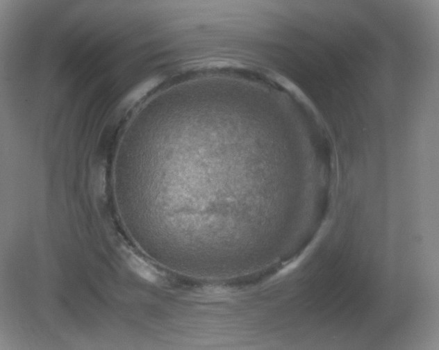 X0000082990777200702011428