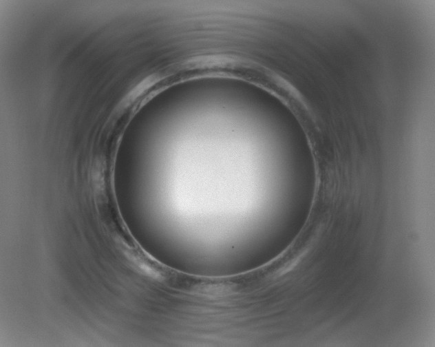 X0000082990778200702011428