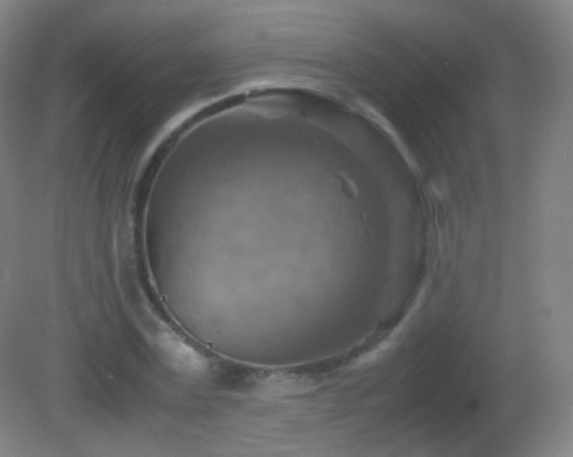 X0000082990779200702011428