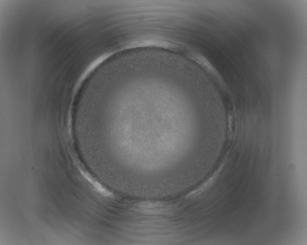 X0000082990780200702011428