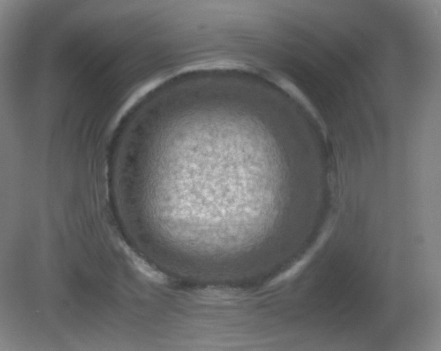 X0000082990781200702011428