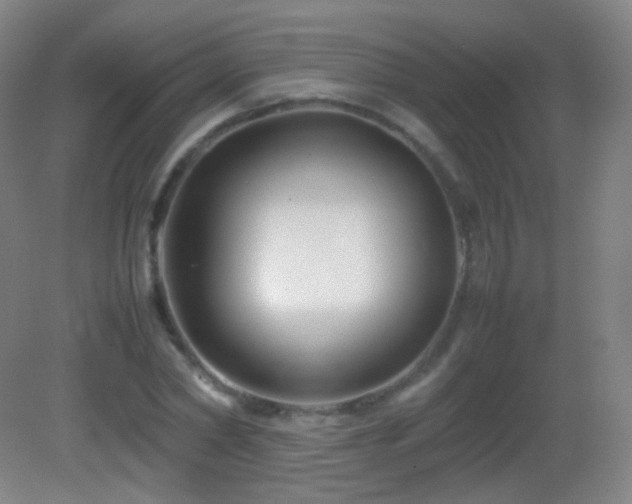 X0000082990782200702011428