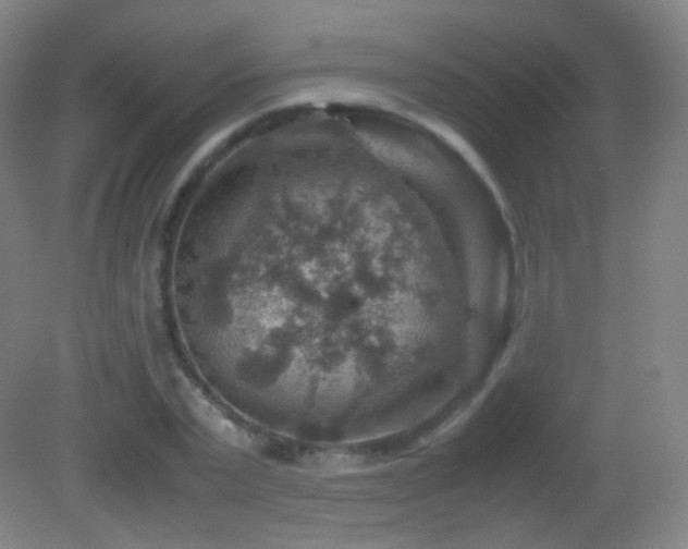 X0000082990783200702011428