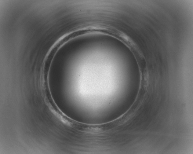 X0000082990784200702011428