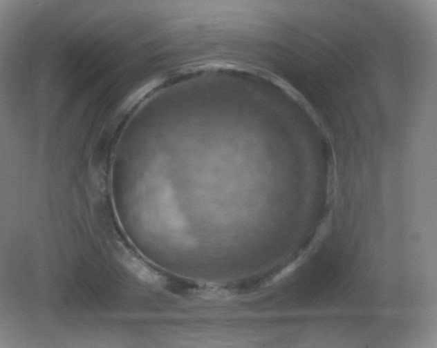 X0000082990785200702011428