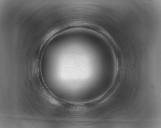 X0000082990786200702011428