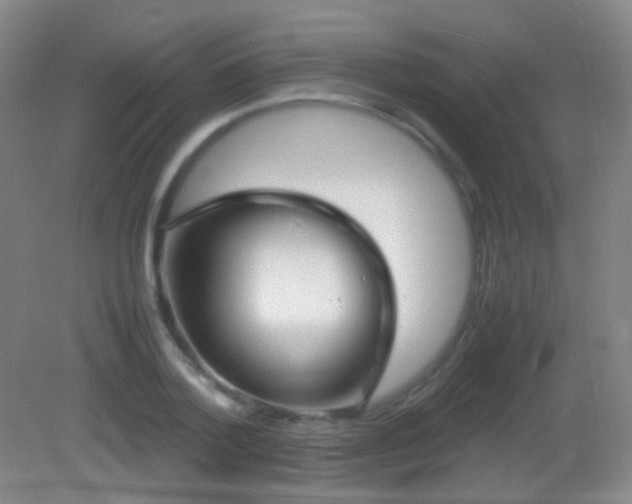 X0000082990788200702011428