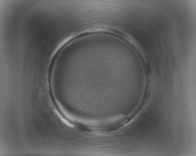 X0000082990789200702011428