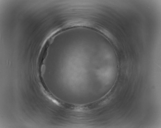 X0000082990790200702011428