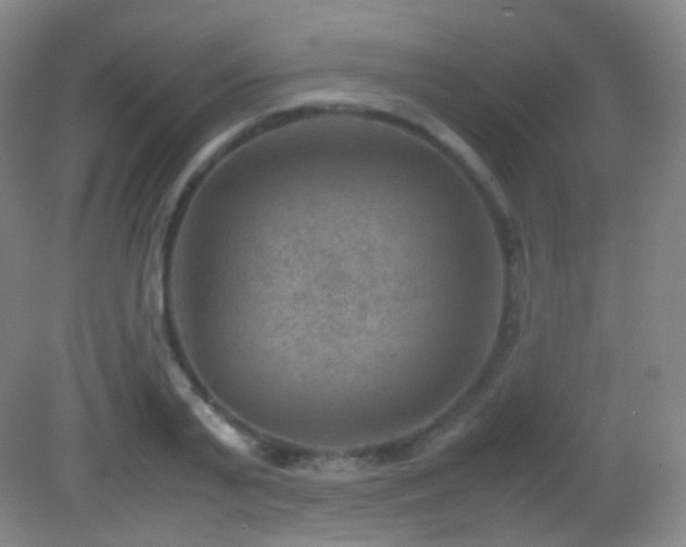 X0000082990791200702011428