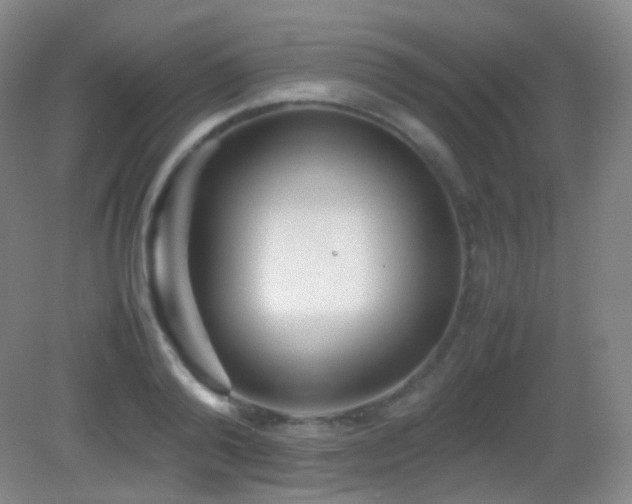 X0000082990792200702011428