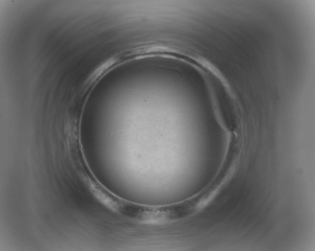 X0000082990793200702011428