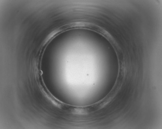 X0000082990794200702011428