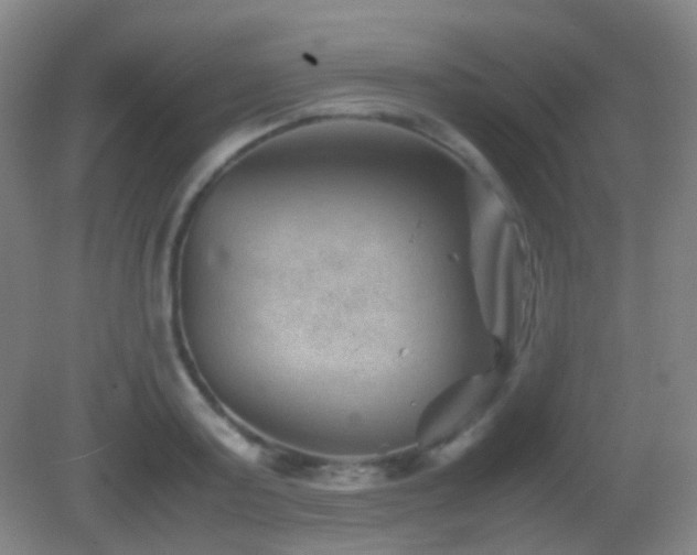 X0000082990795200702011428