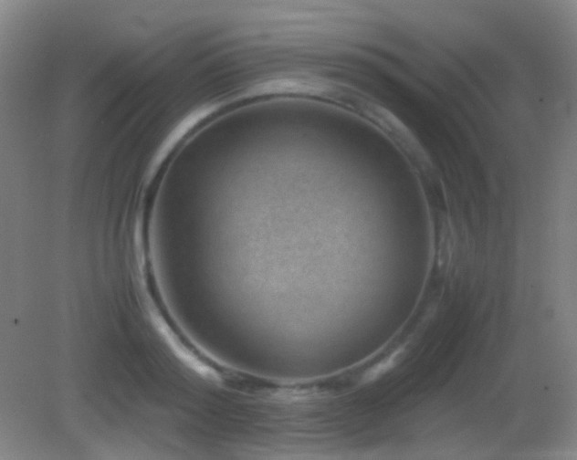 X0000082990796200702011427