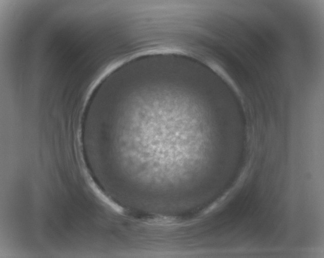 X0000082990797200702011427