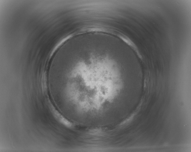 X0000082990798200702011427