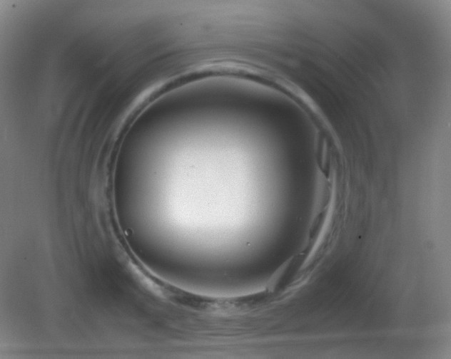 X0000082990799200702011427