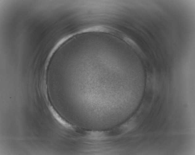 X0000082990800200702011427