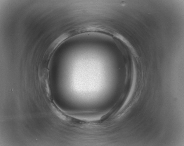 X0000082990801200702011427