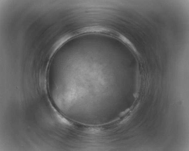 X0000082990802200702011427