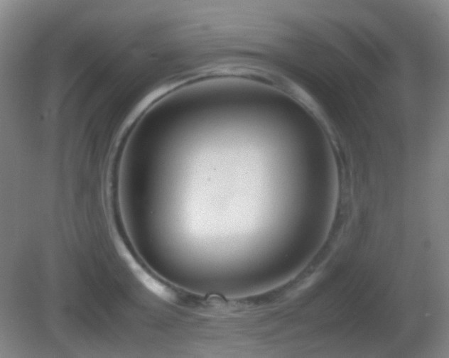 X0000082990803200702011427