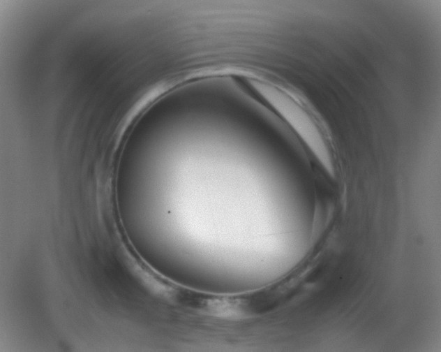 X0000082990805200702011427