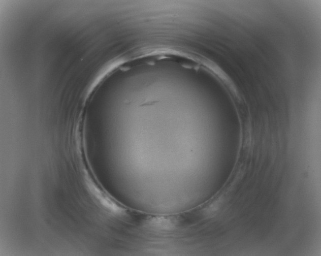 X0000082990806200702011427