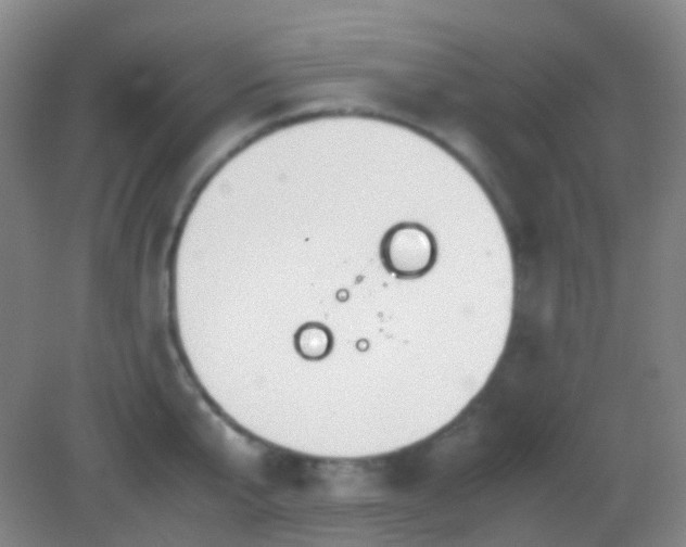 X0000082990807200702011427