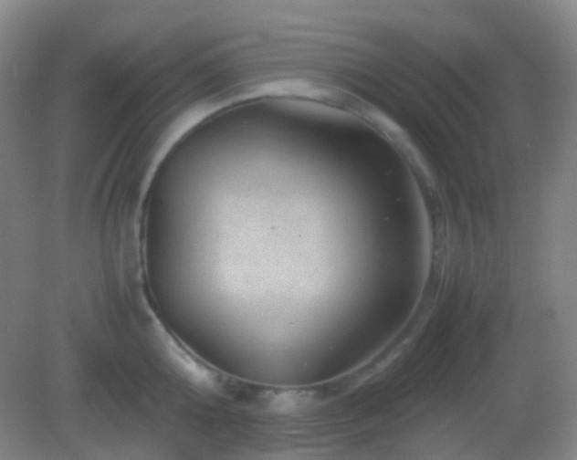 X0000082990808200702011427