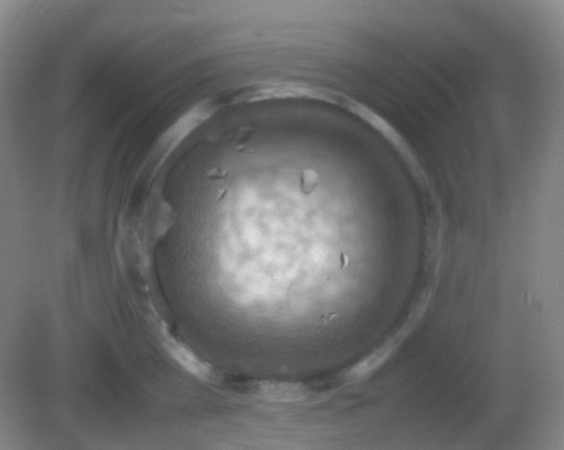 X0000082990809200702011427