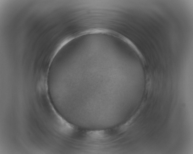 X0000082990810200702011427