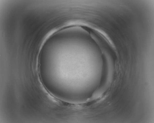 X0000082990815200702011427