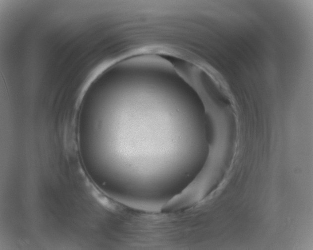 X0000082990816200702011427