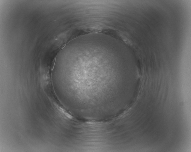 X0000082990818200702011426