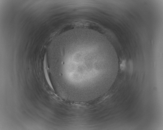 X0000082990819200702011426