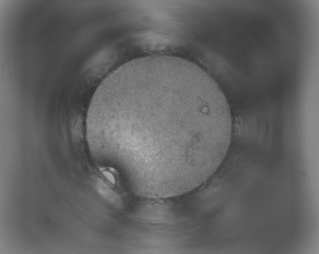 X0000082990820200702011426