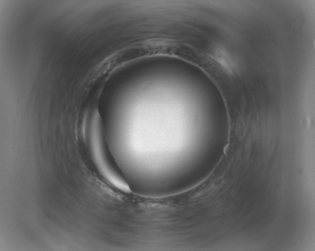 X0000082990821200702011426