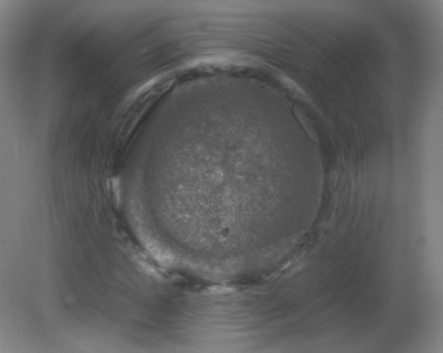 X0000082990822200702011426