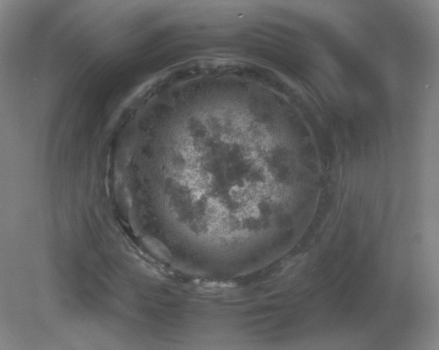 X0000082990823200702011426